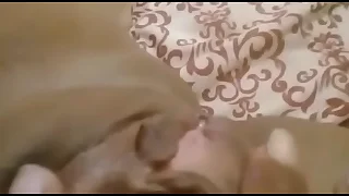 Latina